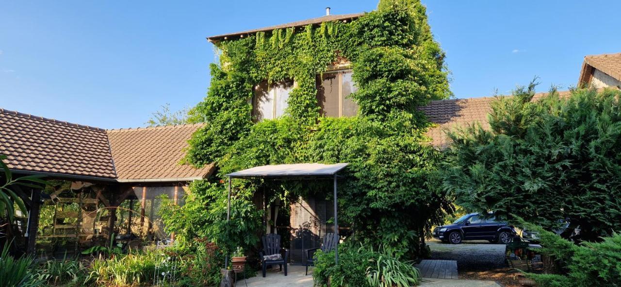 Les Grands Bois Vila Saint-Épain Exterior foto